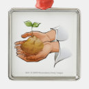 Search for graphic christmas tree decorations Nature