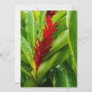 Search for red 7x5 invitations Green