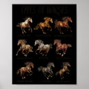 Search for horse eventing posters Pony