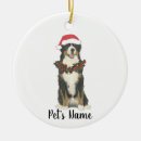 Search for bernese mountain dog christmas decor Watercolor