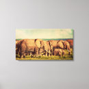Search for elephant canvas prints Nature