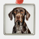 Search for german shorthaired pointer christmas tree decorations White