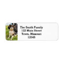 Search for cavalier return address labels Puppy