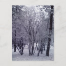 Search for holiday tree postcards Peaceful