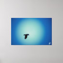 Search for flying crow art Bird