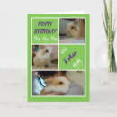 Search for funny bunny birthday cards Bunnies