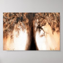 Search for tree of life posters Forest