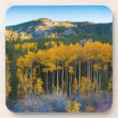 Search for aspen coasters Fall