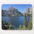 Search for jackson electronics Teton