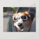 Search for goggles postcards Dog