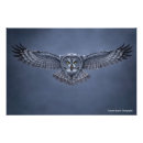 Search for great grey owl art Bird of prey