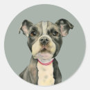 Search for bulls eye stickers Pet