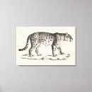 Search for leopard print canvas prints Wild animals