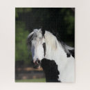 Search for gypsy vanner horse puzzles Breed