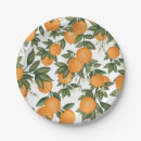 Search for citrus plates Clementine