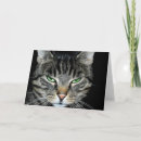 Search for angry cat cards Humour