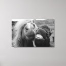 Search for getty art Cute