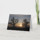 Search for sunset landscape cards Autumn