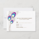 Search for feather rsvp cards Birds
