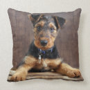 Search for airedale terrier gifts Animals