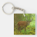 Search for stag key rings Nature