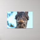 Search for giraffe canvas prints Portrait