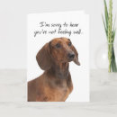 Search for dachshund get well cards Pet