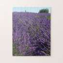 Search for lavender field puzzles Purple