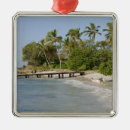 Search for dominican republic christmas tree decorations Tropical