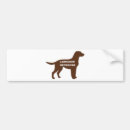 Search for chocolate lab bumper stickers Cute