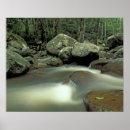 Search for rainforest posters Environment