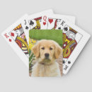 Search for dog playing Flowers