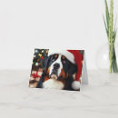 Search for bernese mountain dog christmas cards Festive
