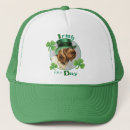 Search for points hats Wirehaired pointing griffon