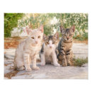 Search for animal friendly art Cute