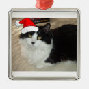 Search for black and white cat christmas tree decorations Humour