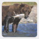 Search for brown bear stickers Wildlife