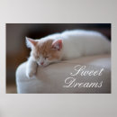 Search for tired art Sleeping