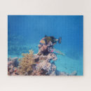 Search for coral reef puzzles Marine life