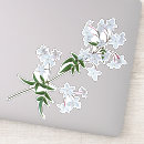 Search for jasmin electronics Flowers
