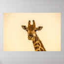 Search for selected posters Nature