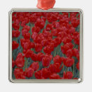 Search for bed christmas tree decorations Nature