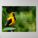 Search for scripture bird art Psalms
