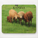 Search for pasture mousepads Livestock