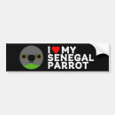 Search for parrot bumper stickers Pet