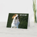 Search for jack russell birthday cards Funny