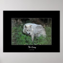 Search for wildlife support posters Timber wolf
