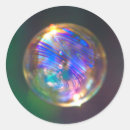 Search for talbot stickers California