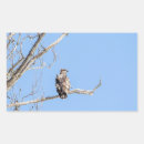 Search for eagle feather stickers Wildlife