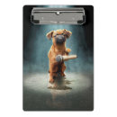 Search for jokes clipboards Pet